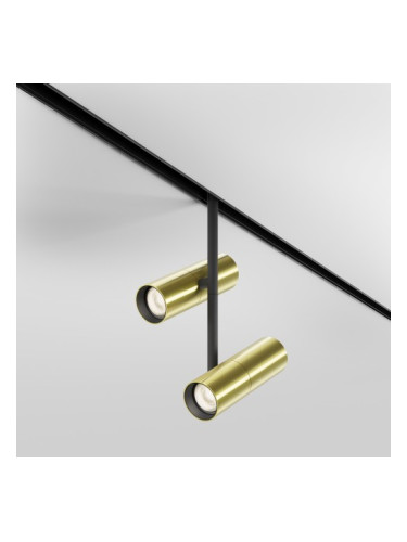 LED спот за магнитна шина Maytoni TR005-4-2x12W-DS-BBS Elti Duo 24W 2700K - 6000K Exility Magnetic track SATIN BRASS DIMMABLE