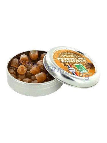 АРОМАНДИСЕ ПАСТИЛИ С ПРОПОЛИС, МЕД И ЕВКАЛИПТ 45 г