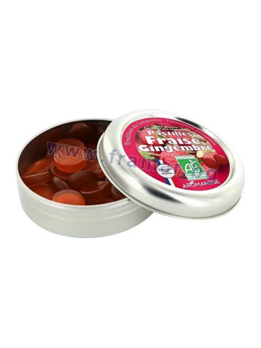 АРОМАНДИСЕ ПАСТИЛИ С ЯГОДИ И ДЖИНДЖИФИЛ 45 г