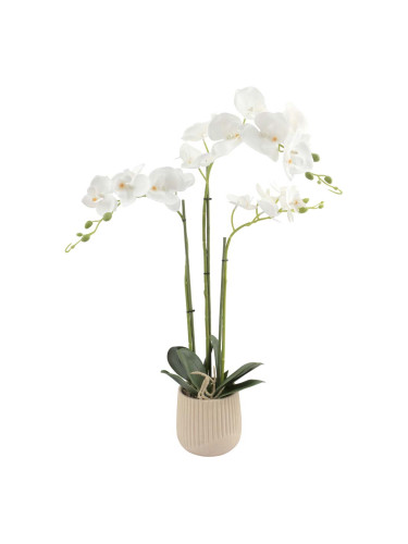 ДЕКОРАТИВНО ЦВЕТЕ ОРХИДЕЯ В КАШПА 12/62 СМ