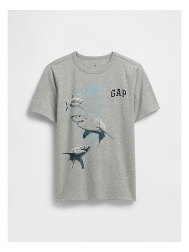 GAP Children's T-shirt - Boys