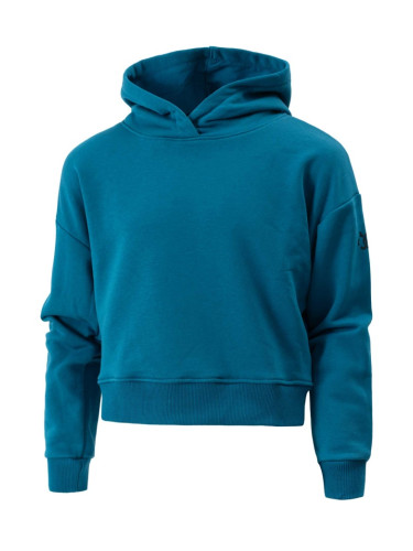 BRILLE | Суитшърт JESSIE, зелен