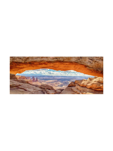 КАРТИНА 60/150СМ