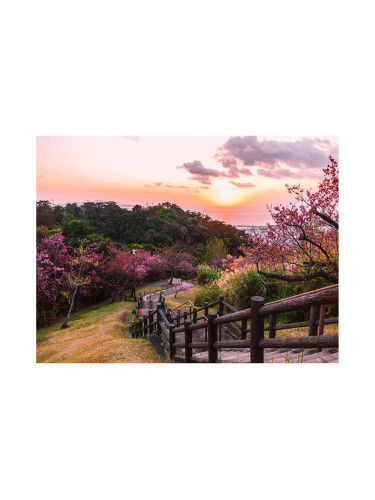 КАРТИНА 85/113СМ