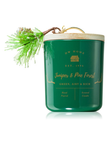 DW Home Farmhouse Juniper & Pine Forest ароматна свещ 244 гр.