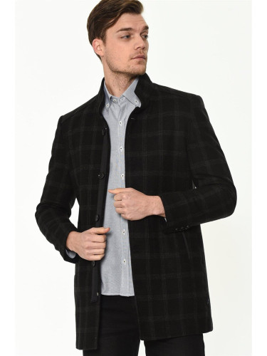 PLT8327 DEWBERRY