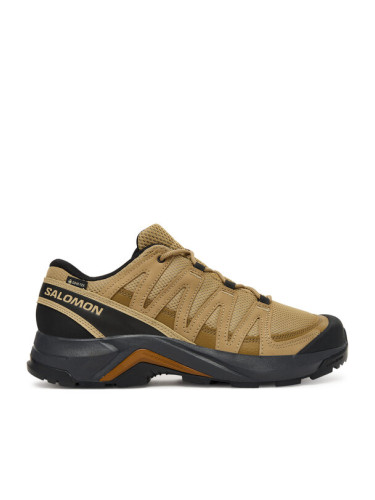 Salomon Туристически X-Adventure Recon Gore-Tex L47813100 Кафяв