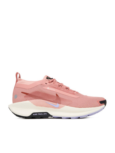 Nike Маратонки за бягане W Pegasus Trail 5 Gtx GORE-TEX FQ0912 602 Розов
