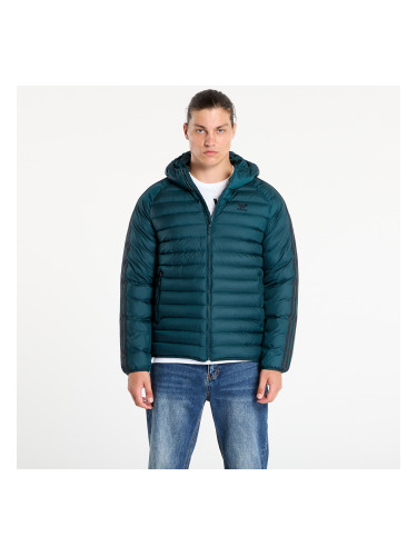 Яке adidas Synthetic Hooded Jacket Aurora Ivy/ Black L