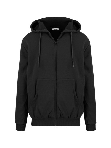 Pri Men's warm sweatshirt with a hood, plain, one-color