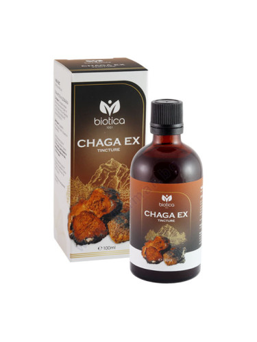 ЧАГА ЕКС тинктура 100 мл БИОТИКА 