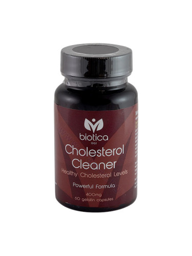 ХОЛЕСТЕРОЛ КЛИЙНЪР капсули * 60