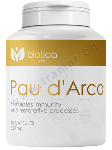 МРАВЧЕНО ДЪРВО капсули * 60 БИОТИКА