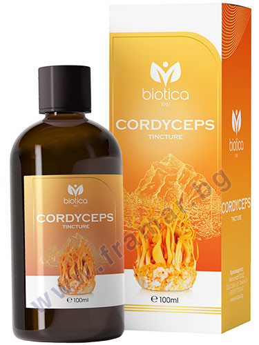 КОРДИЦЕПС тинктура 100 мл БИОТИКА