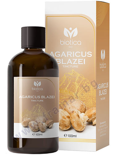 АГАРИКУС БЛАЗЕЙ тинктура 100 мл БИОТИКА