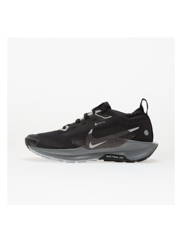 Сникърси Nike W Pegasus Trail 5 Gtx Black/ Wolf Grey-Cool Grey-Anthracite-Reflect Silver EUR 41