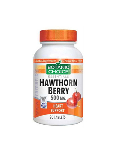 БОТАНИК ЧОЙС ГЛОГ таблетки 500 мг * 90 