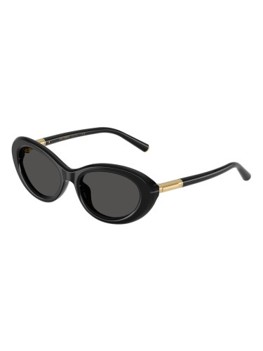 DOLCE & GABBANA DG4519 - 501/87