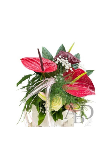 Антуриум букет – изискан избор за специални моменти