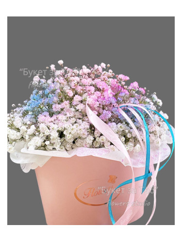 Пастелна мечта – гипсофила в кутия