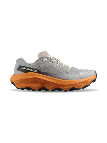 Salomon Ultra Flow 2 GTX Grey Мъже - Спортни обувки Salomon - Сив - L47884200-10.5 - Size: 10.5