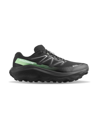 Salomon Ultra Flow 2 GTX Black Мъже - Спортни обувки Salomon - Черен - L47981400-10 - Size: 10