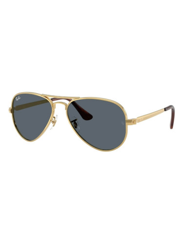 RAY-BAN RB3925 - 001/R5