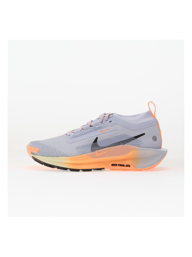 Сникърси Nike Pegasus Trail 5 Gore-Tex Ghost/ Black-Malt-Orange Pulse EUR 36.5
