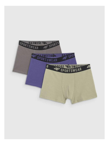 Boys' boxers 4F (3pack)