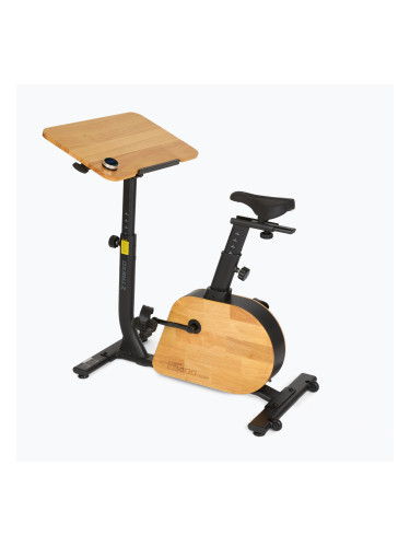 Електрически велосипед XTREXO EB400-desk black