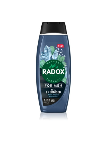 Radox Feel Energised душ-гел за мъже 2 в 1 450 мл.
