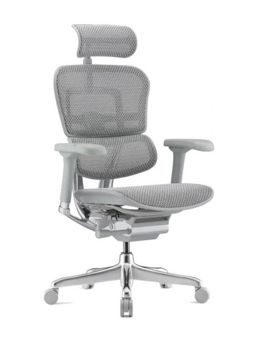  Ергономичен стол Antares - ERGOHUMAN 2 ELITE GREY, сив
