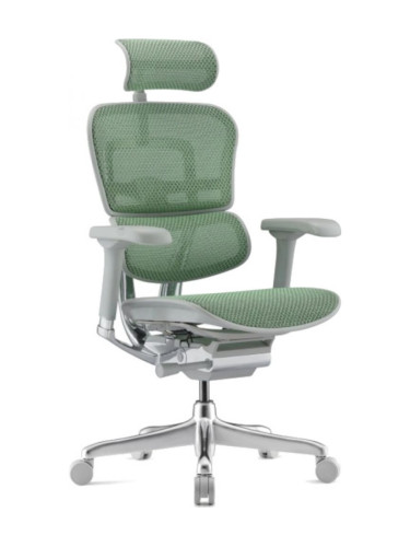  Ергономичен стол Antares - ERGOHUMAN 2 ELITE GREY, зелен