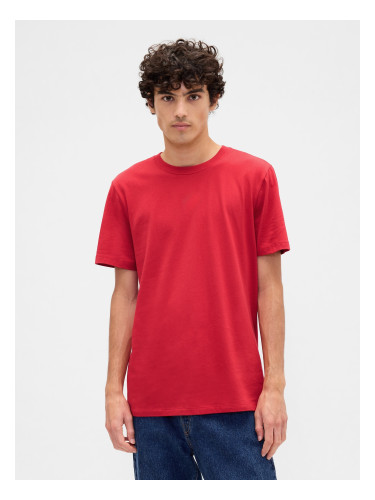 GAP T-shirt Everyday Soft - Men's