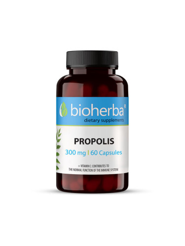 ПРОПОЛИС/ PROPOLIS 300мг | Bioherba