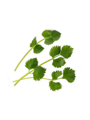 Пълнител (лингот) Green Anise за настолна градина Véritable® - зелен анасон