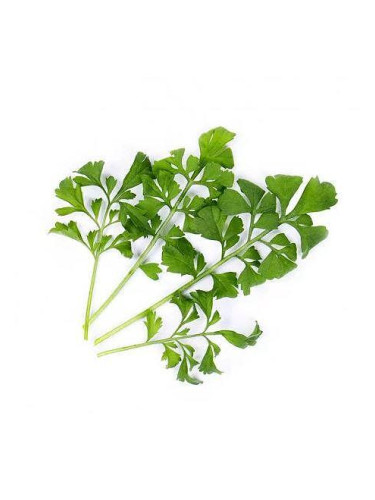 Пълнител (лингот) Garden cress Organic за настолна градина Véritable® - градински кресон