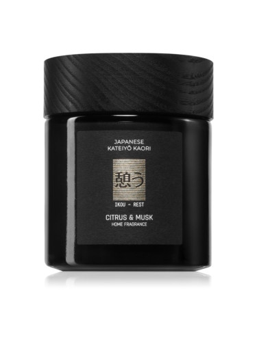 Vila Hermanos Apothecary Japanese Rest ароматна свещ 150 гр.