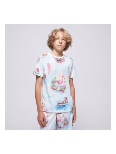 Jordan Тениска Jdb Jordan Flamingo Aop Ss Tee Boy детски Дрехи Тениски 95D844-001 Многоцветен