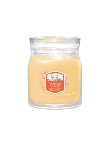 Yankee Candle Signature Medium Jar 2 Wicks Slopeside Spritz Universal