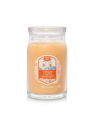 Yankee Candle Signature Large Jar 2 Wicks Slopeside Spritz Universal