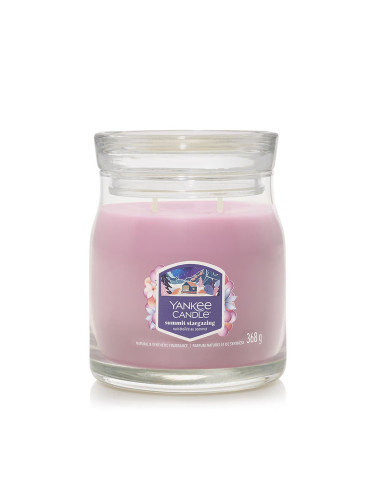 Yankee Candle Signature Medium Jar 2 Wicks Summit Stargazing Universal