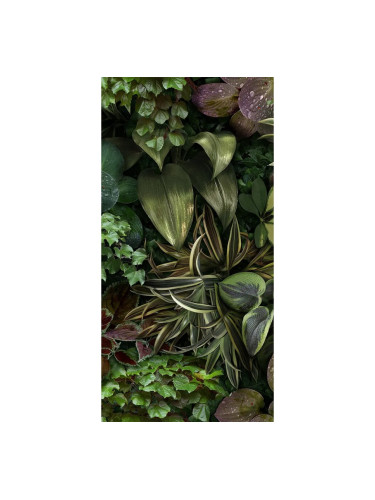 JANE B - италиански гранитогрес