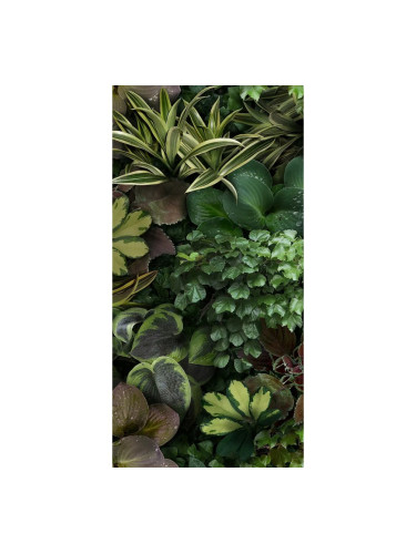 JANE C - италиански гранитогрес