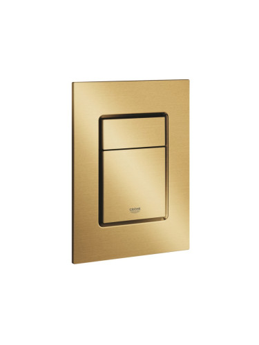 Skate Cosmopolitan S бутон 37535GN0