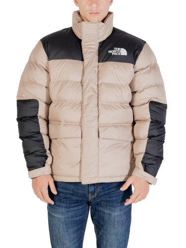 Мъжко зимно яке The North Face