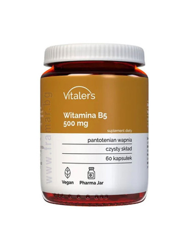 ВИТАЛЕРС ВИТАМИН B5 капсули 500 мг * 60 