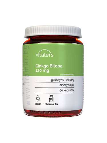 ВИТАЛЕРС ГИНКО БИЛОБА капсули 120 мг * 60 