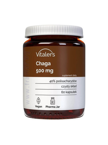 ВИТАЛЕРС ЧАГА капсули 500 мг * 60 