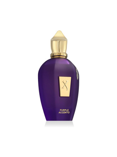 Xerjoff V Collection Purple Accento Eau de Parfum 100 ml